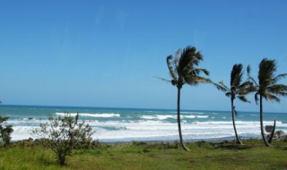 太平洋论坛怎么解封 和平怎么解除封号