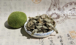 艾叶的生活妙用 艾叶在生活中的妙用