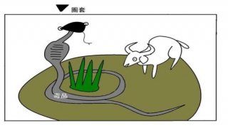 圈套的游戏（圈套的游戏玩法）