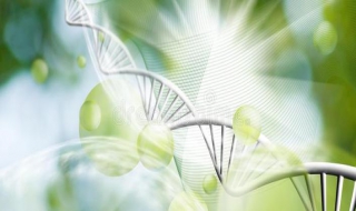 生物技术的推广 生物技术的推广方法