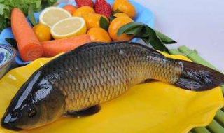 鲤鱼怎么做好吃 鲤鱼怎么做好吃又简单家常的视频