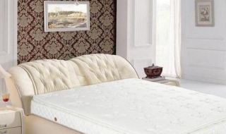 单人床垫（单人床垫子价格及图片大全）