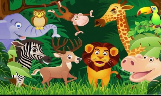 动物世界的奇异很简单 动物世界的奇异很简单的画