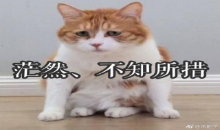 人迷茫不知所措的时候怎么办 迷茫 不知所措