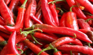 渣海椒怎么做好吃 渣海椒怎么做好吃视频