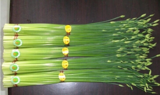 韭苔炒鱿鱼的做法（韭苔炒鱿鱼的做法大全）