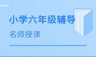 六年级数学辅导的方法（小学六年级数学辅导方法数学辅导六年级）