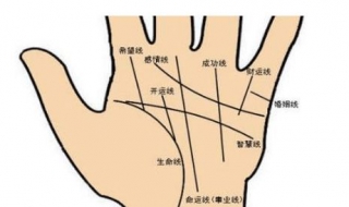 告诉你手相的秘密，变化最快的特征（手相在变化）