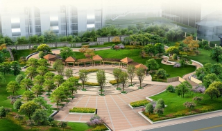 如何运用植物进行园林景观设计（园林植物景观设计与营造）