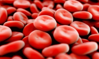 血小板低了怎么办 血小板低了怎么办有什么危害