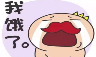 饿了怎么办（饿了怎么办 肉丁豆角）