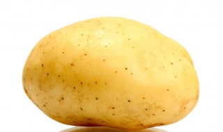 药物中毒怎么办（小牛药物中毒怎么办）