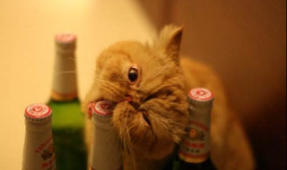 瓶盖打不开怎么办 瓶盖打不开怎么办 瓶子是玻璃的