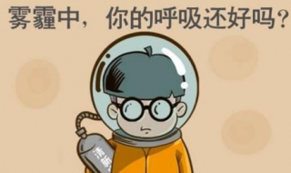 雾霾中毒怎么办哦（雾霾中毒症）