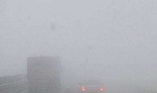 迷路怎么办（在森林迷路怎么办）