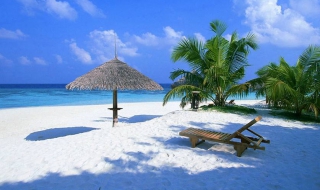 三亚海鲜攻略 三亚旅游海鲜攻略