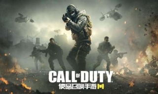 使命召唤手游怎么调中文，程序如下（召唤使命手游怎么设置中文）