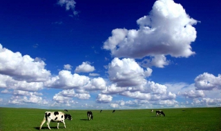 呼伦贝尔草原最深处攻略 去呼伦贝尔草原攻略