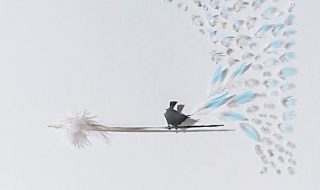 良缘夙缔竖版剪法