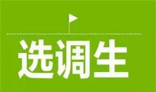 黑龙江选调生报考（黑龙江选调生报考条件及时间2023）