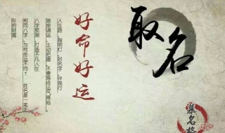 给袁姓女孩起名的方法,仅供参考 袁姓女孩起名气质高雅