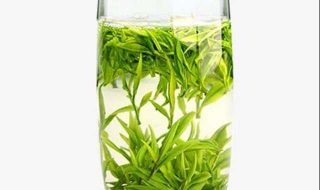 绿茶小知识，教你怎么喝 绿茶应该怎么喝