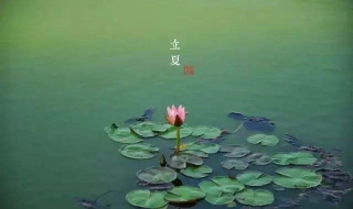 盘点立夏的九大习俗