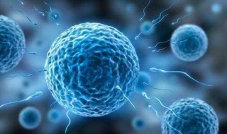 什么时候是排卵期 什么时候是排卵期,排卵期有什么症状