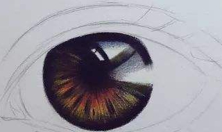 白眼珠发黄怎么办（白眼珠很黄怎么办）