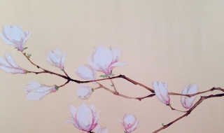 水彩画图片效果（水彩画图片效果图）