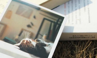 如何制作明信片 ps如何制作明信片