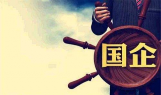 国有企业知识内容体系构成与特点 知识管理体系文件包括哪些内容