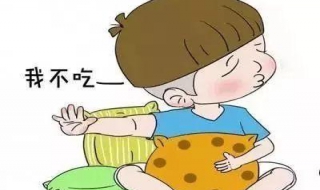 幼儿不爱吃饭怎么办（幼儿不爱吃饭怎么办吃什么药）