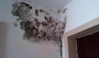 房间潮湿怎么办（冬季房间潮湿怎么办）