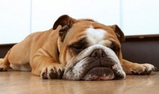 无聊怎么办啊 无聊该怎么办啊