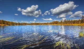 阿尔山国家森林公园 阿尔山国家森林公园图片