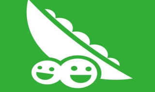 豌豆荚启动项 豌豆荚启动项怎么设置