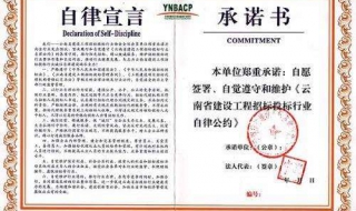 售后服务承诺书（产品售后服务承诺书）