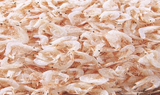 虾米音乐下载怎么下载 虾米音乐下载怎么下载到u盘