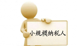小规模纳税人如何报税 小规模纳税人如何申报增值税