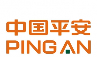 买了平安保险的保单 买了平安保险的保单怎么查