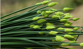 韭苔炒肉丝（韭苔炒肉丝的做法）