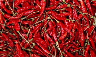 虎皮海椒做法 虎皮海椒做法大全