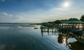 莲花岛一日游攻略（莲花岛一日游攻略长春图片）