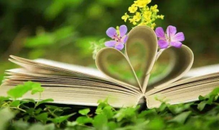 如何选择一本好书 我的第一位老师如何选择一本好书
