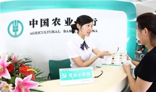 免费找到农行客服（免费找到农行客服电话）