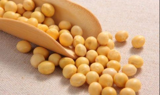 吃什么降血脂 吃什么降血脂降血压