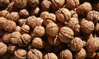 怎么区别纸皮核桃和薄皮核桃 怎么区别纸皮核桃和薄皮核桃呢