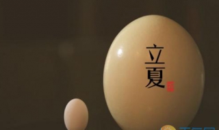 立夏吃什么 立冬的风俗吃什么