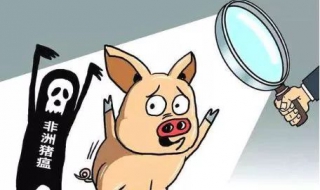 如何预防非洲猪瘟（如何预防非洲猪瘟用什么药）